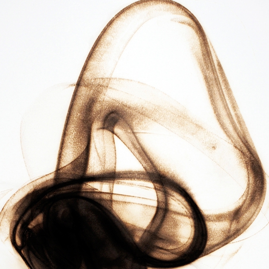 Details of "Trace 8010"