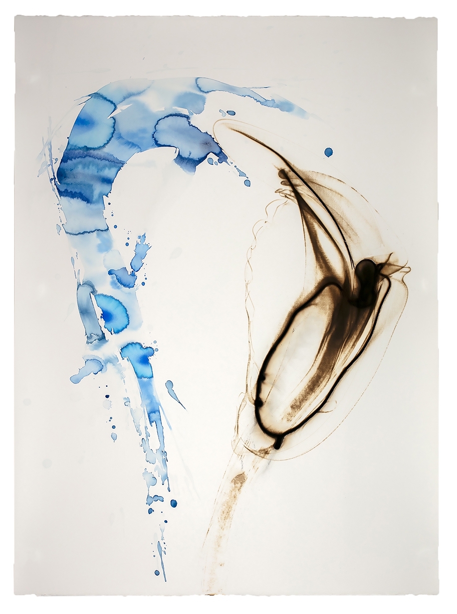 Etsuko Ichikawa, Vitrified 4425, 2025, Glass pyrograph and watercolor on paper, 52 x 38 inches