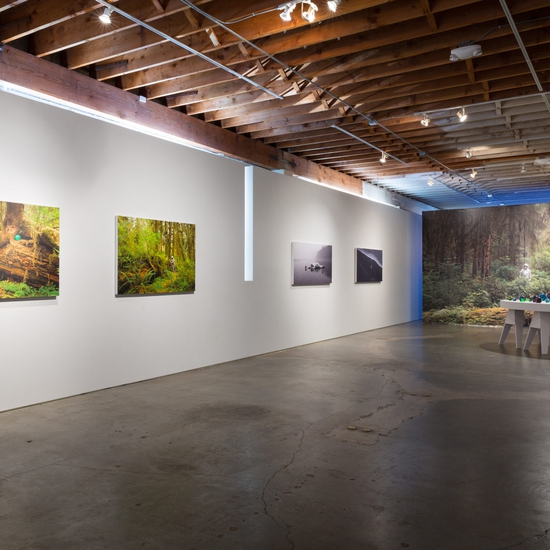 Installation view of Etsuko Ichikawa's 2018 exhibition 'Vitrified'