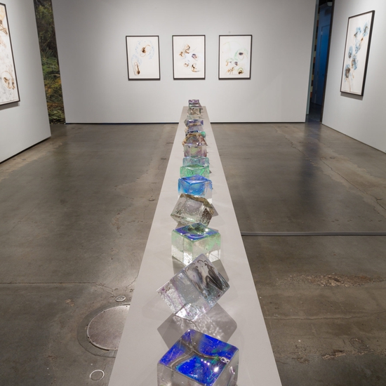 Installation view of Etsuko Ichikawa's 2018 exhibition 'Vitrified'