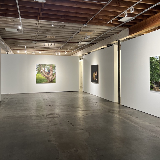 'never leave without saying goodbye' Solo 2024 Exhibition