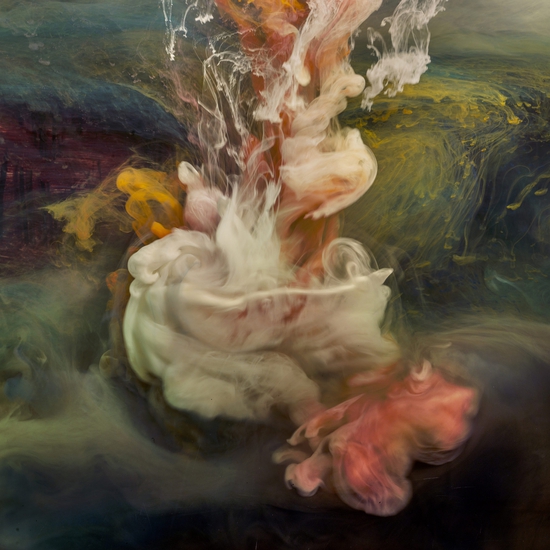 (9528) Abstract 23201b -- Kim Keever