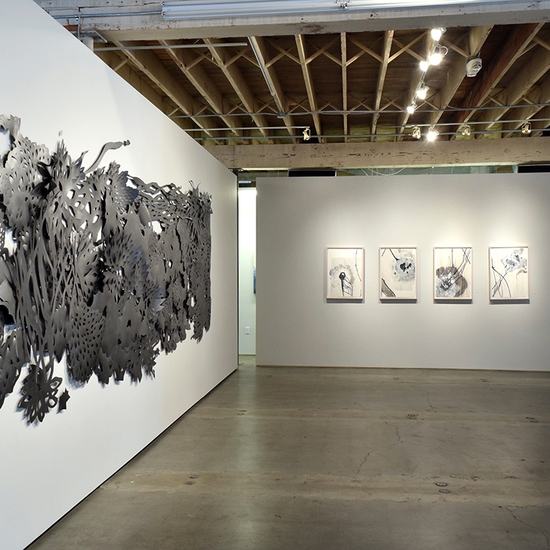 Installation in Andreas Kocks 2019 Solo Exhibition