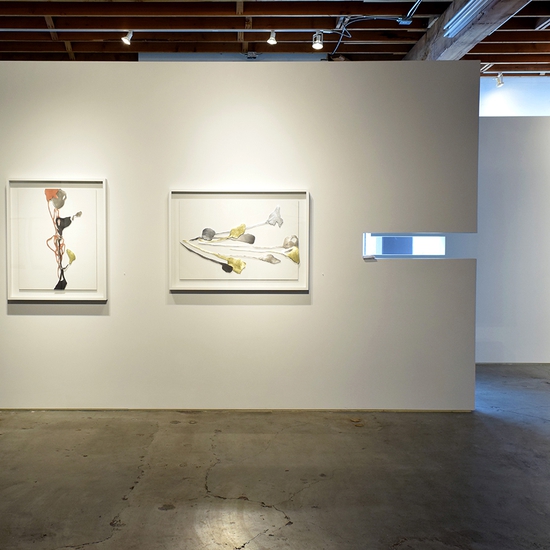 Installation in Andreas Kocks 2019 Solo Exhibition