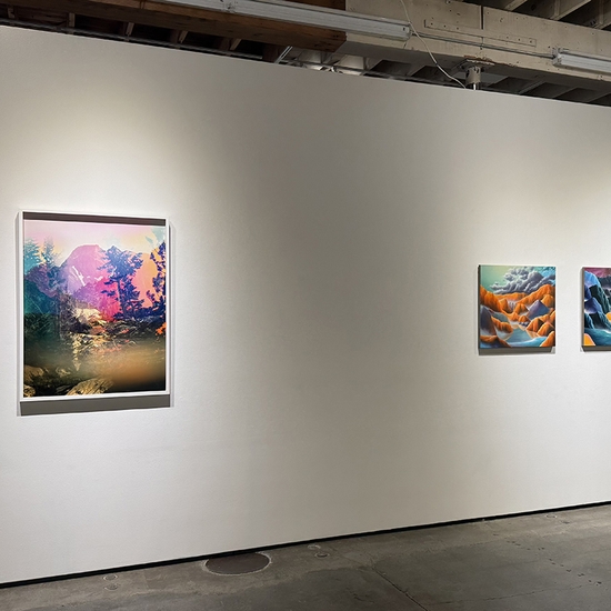 Group Show: Landscapes, Install
