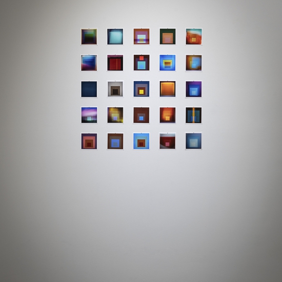 Aaron Leitz, Homage, Install 2