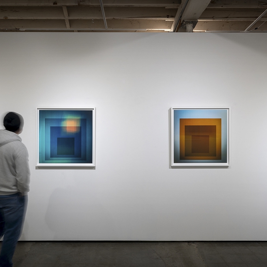 Aaron Leitz, Homage, Install 5