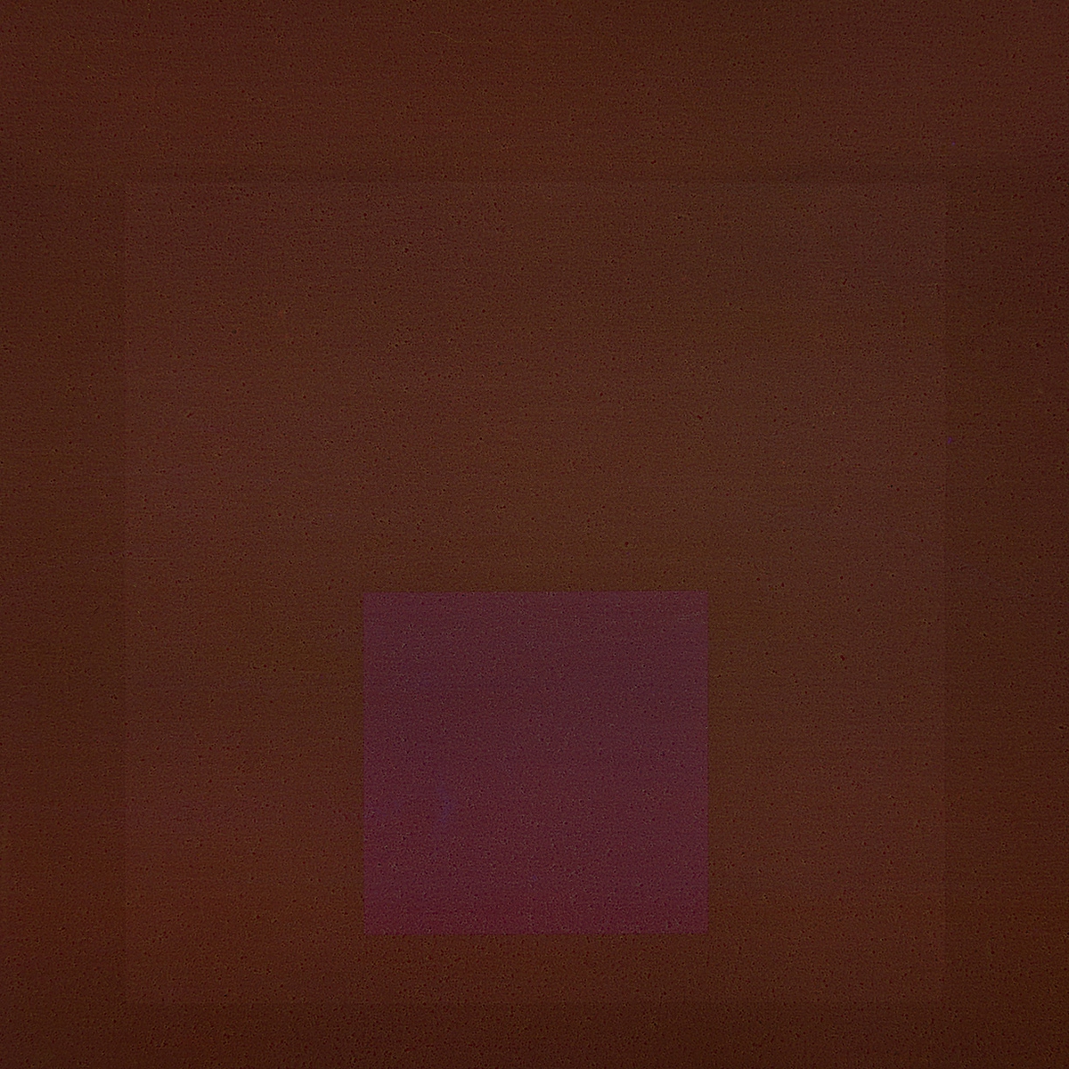 Aaron Leitz: Color Study No. 134, 2021, Archival pigment print, Available in various sizes
