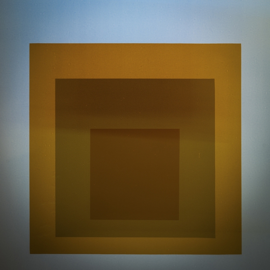 Aaron Leitz: Color Study No. 737, 2024, Archival pigment print, Available in various sizes
