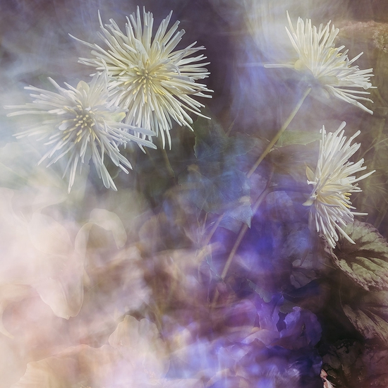 Aaron Leitz: Remember You Must No. 1, 2022, Archival pigment print, Available in various sizes