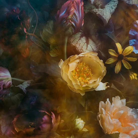 Aaron Leitz: Remember You Must No. 25, 2022, Archival pigment print, Available in various sizes