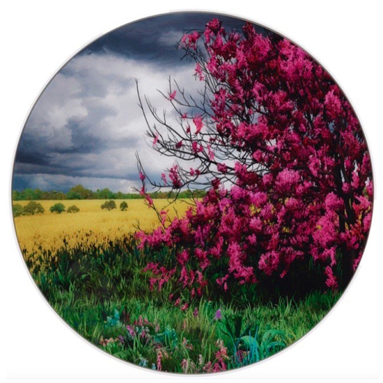 Jessica Lichtenstein: Meadow, 2018, C-Print acrylic with wood frame, Edition 3 + 2AP, 60 x 60 x 4 inches