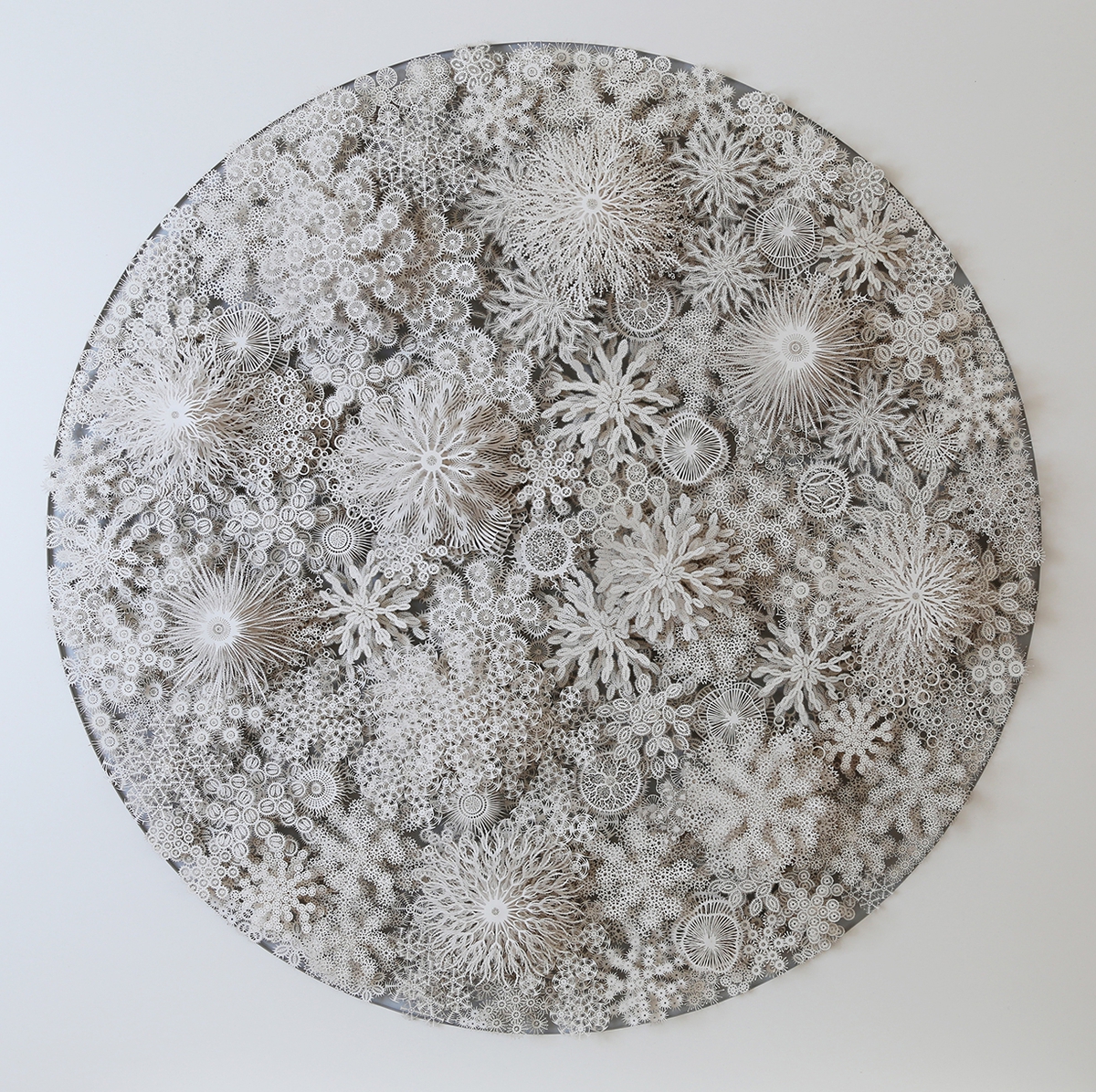 Rogan Brown: Magic Circle Haeckel Variation, 2021, Cut paper, 35.75 x 35.75 x 5.5 inches