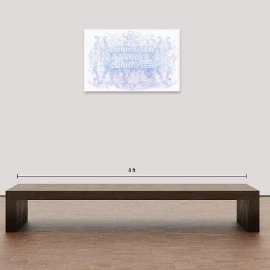 Installation of "Curious and Curiouser"