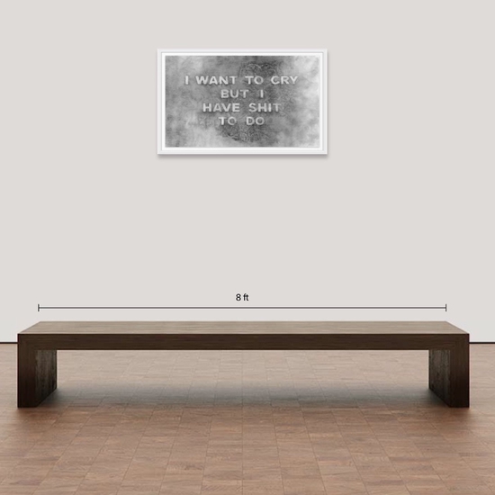 Mockup of "I Want To Cry But I Have Shit To Do"