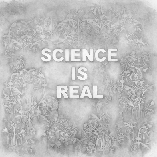 Amanda Manitach: Science Is Real, 2021, Graphite on paper, 38 x 38 inches