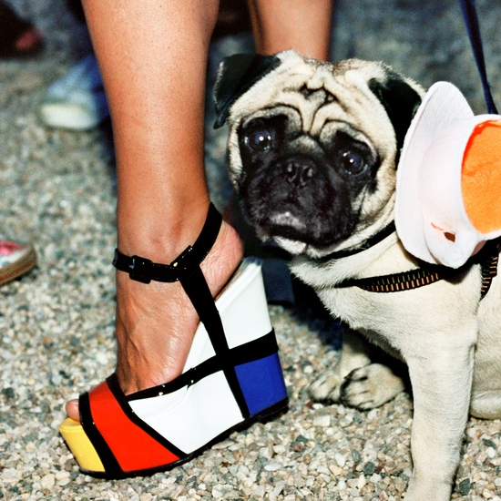 Jessica Craig-Martin's photography provides a behind the scenes looks at the excess and glamour of high society.