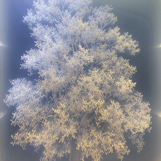 Tatyana Murray: Majestic, 2022, Glass, acrylic, and programmed LED lights, 37 x 25.5 x 7 inches