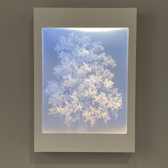 Tatyana Murray: Majestic, 2022, Glass, acrylic, and programmed LED lights, 36 x 25.5 x 5.5 inches