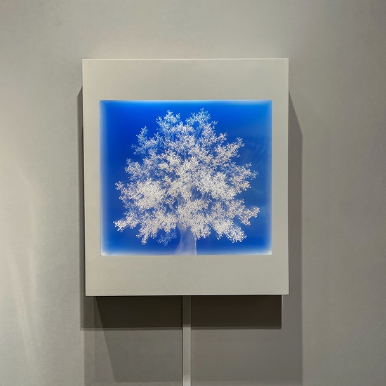 Tatyana Murray: Oak, 2022, Glass, acrylic, and programmed LED lights, 31.5 x 27.5 x 5.5 inches