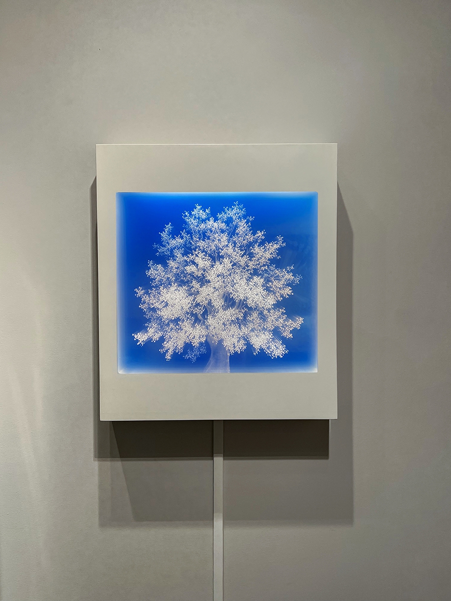 Tatyana Murray: Oak, 2022, Glass, acrylic, and programmed LED lights, 31.5 x 27.5 x 5.5 inches