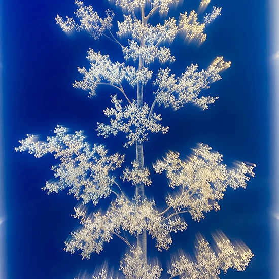 Tatyana Murray: Summer Daydreaming, 2020, Glass, acrylic, and programmed LED lights, 62 x 34.5 x 5.5 inches