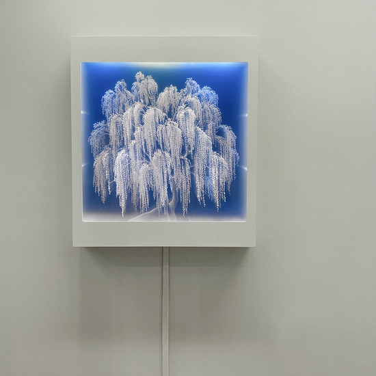Tatyana Murray: Willow, 2022, Glass, acrylic, and programmed LED lights, 43 x 38 x 5.5 inches