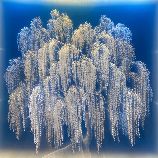 Tatyana Murray: Willow, 2022, Glass, acrylic, and programmed LED lights, 43 x 38 x 5.5 inches