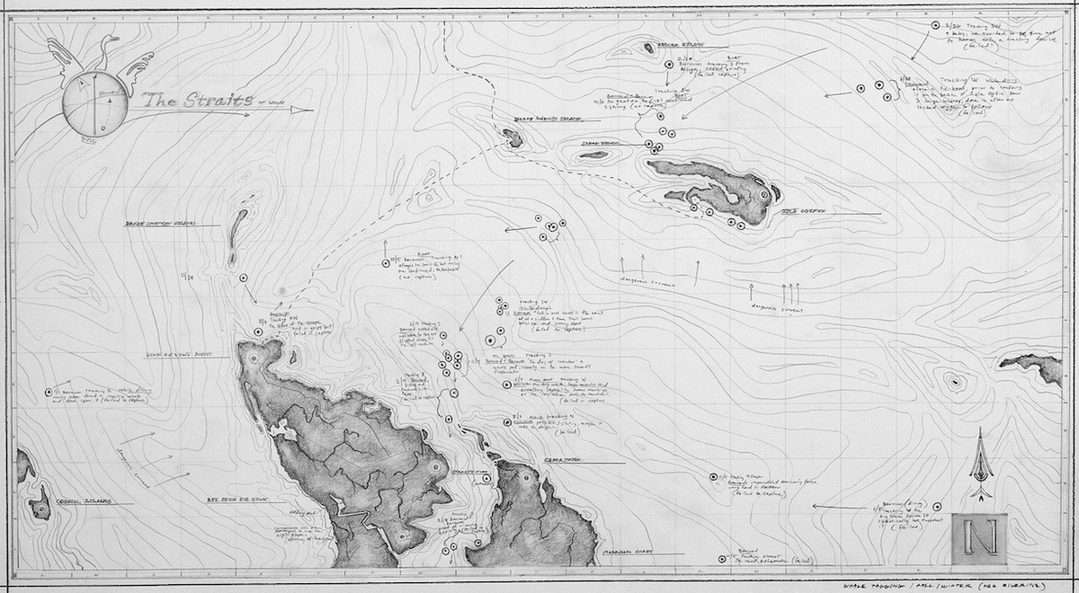 Ethan Murrow: A Whale Sounding Map Submitted As Evidence During Peer Review, 2007, Graphite On Paper, 22 x 40 inches