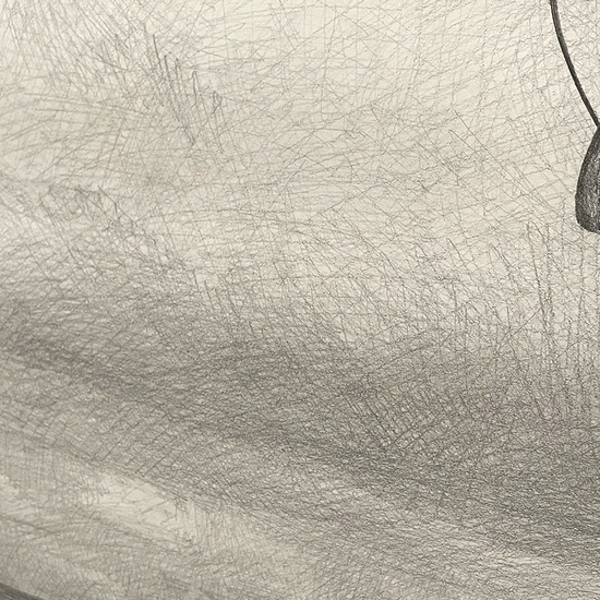 Detail of 'Barnum Was Constantly Making Ill-advised Improvements to the Arctic Re-Projector'