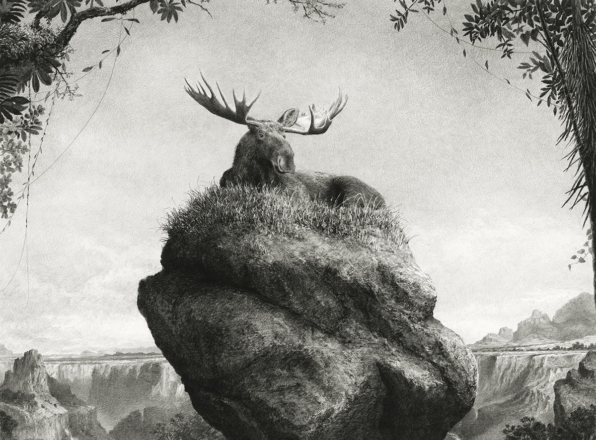 Ethan Murrow, Forest Architect, 2026, Graphite on paper, 36 x 48 inches