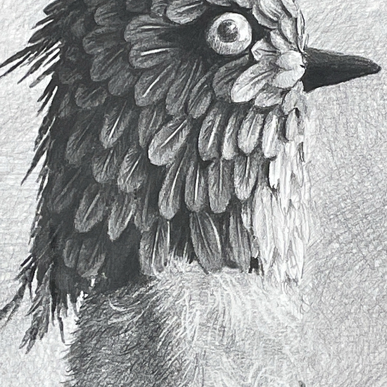 Detail of 'Pegasus'