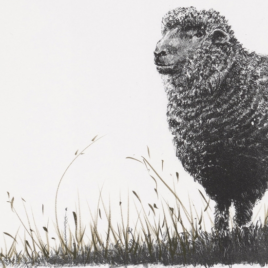 Detail of 'Troubadour Edition 12 of 20'