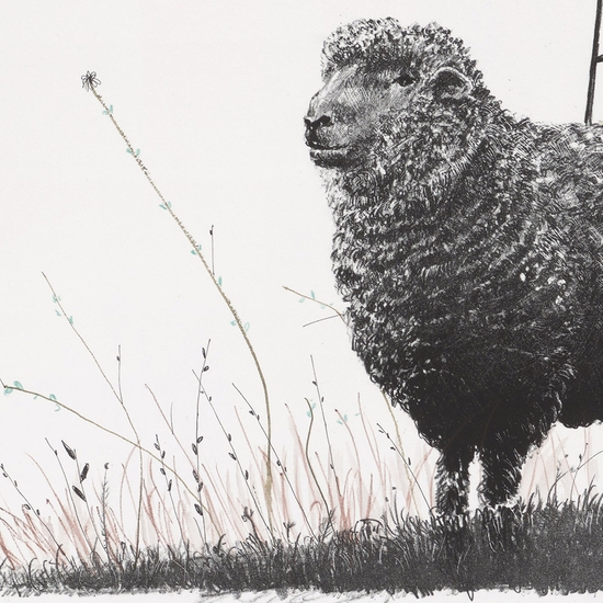 Detail of 'Troubadour Edition 16 of 20'
