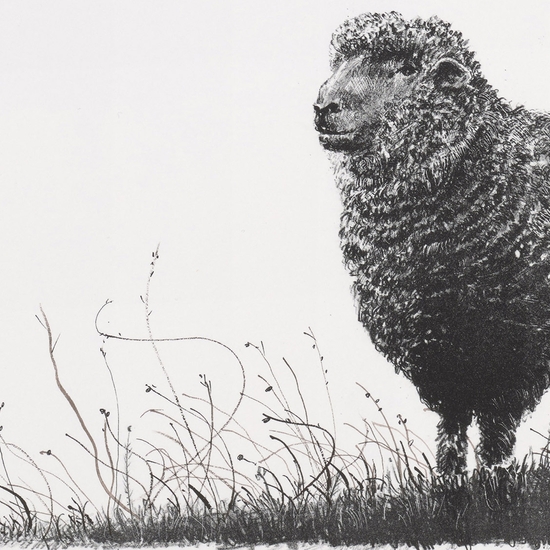 Detail of 'Troubadour Edition 18 of 20'