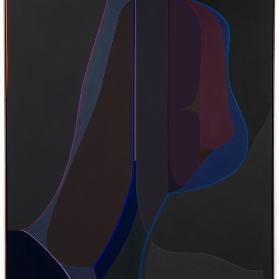 Brian Sanchez, Spectre, 2025, Vinyl emulsion on canvas, 74 x 68 x 2 inches, Framed size 75 x 69 x 2.25 inches