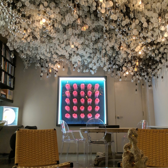 Annika Newell, 2018, Bulb Room Installation