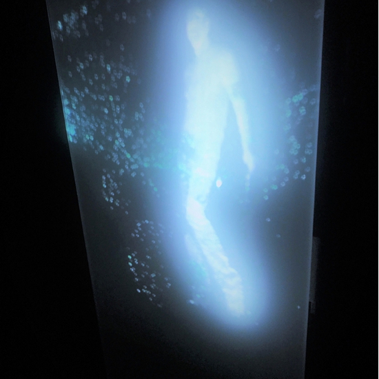 Maja Petric: Attraction I, 2019, Digital projection on plexiglass, 45 x 80 inches
