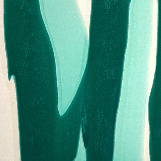 Detail of 'Double Mint'