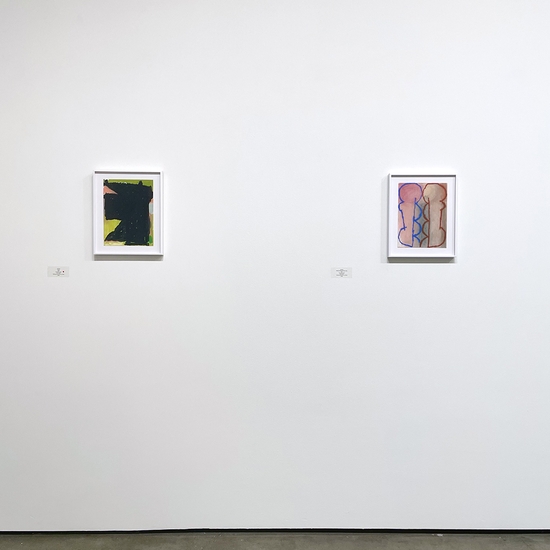 Gallery install of 'Different Name for the Same Thing'