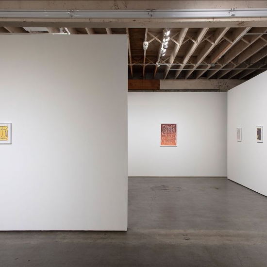 Joe Rudko, Meditations In An Emergency, Install