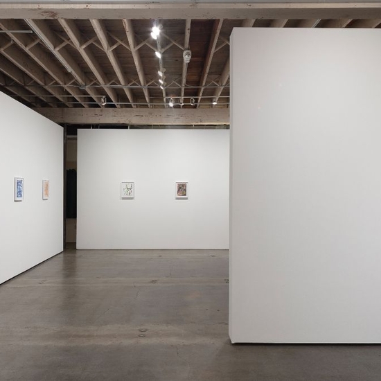 Joe Rudko, Meditations In An Emergency, Install