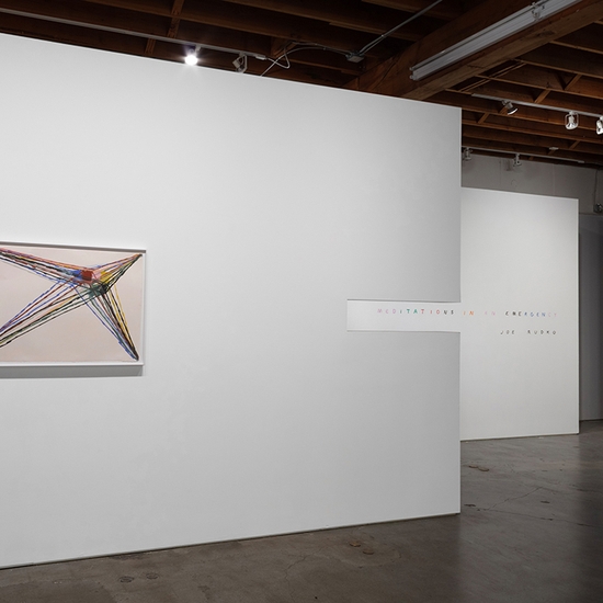 Joe Rudko, Meditations In An Emergency, Install