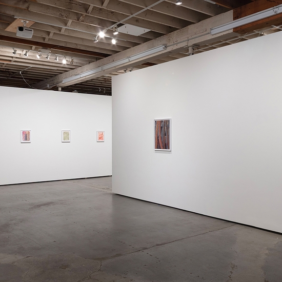 Joe Rudko, Meditations In An Emergency, Install