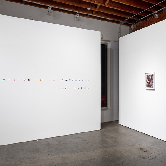 Joe Rudko, Meditations in an Emergency, Install