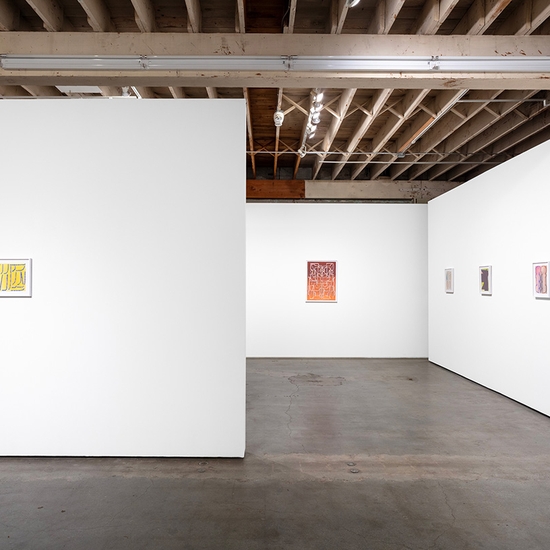 Joe Rudko, Meditations in an Emergency, Install