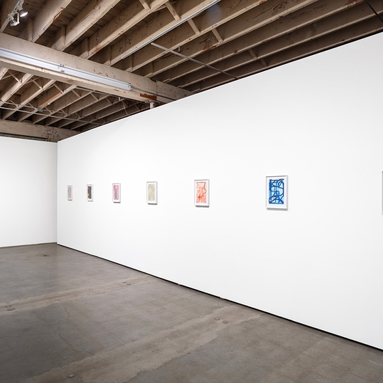 Joe Rudko, Meditations in an Emergency, Install