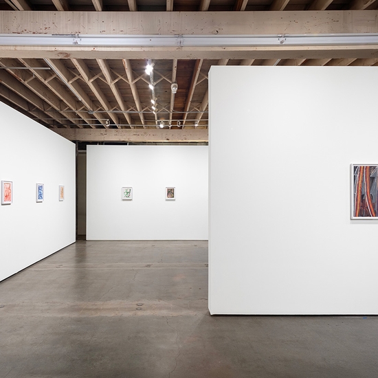 Joe Rudko, Meditations in an Emergency, Install