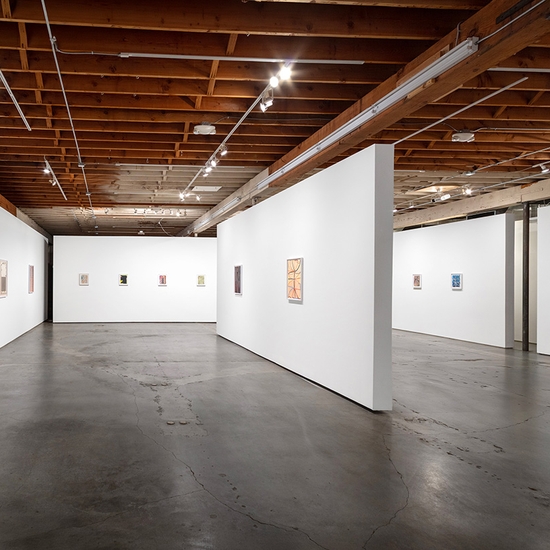 Joe Rudko, Meditations in an Emergency, Install