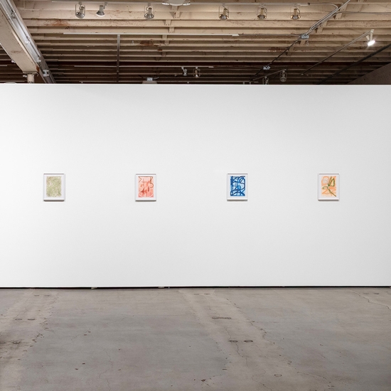 Joe Rudko, Meditations in an Emergency, Install